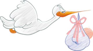 baby-1299514_640.png